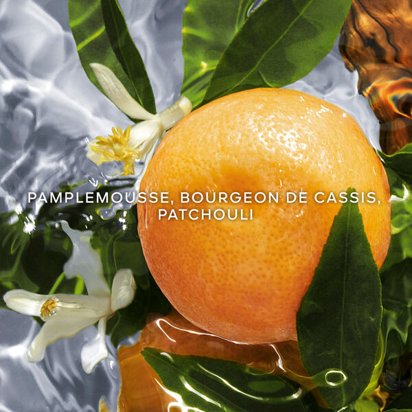 Guerlain Aqua Allegoria Pamplelune 2022 Eau de Toilette Femme 125 ml