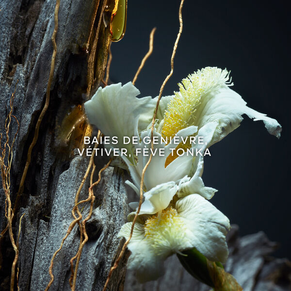 Guerlain Vetiver Parfum Homme 100 ml