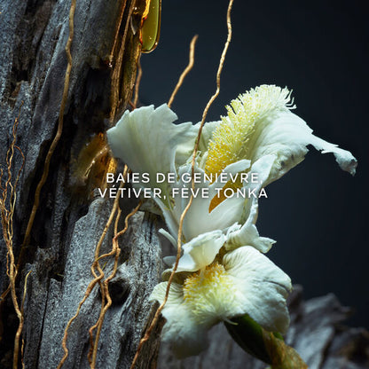 Guerlain Vetiver Parfum Homme 100 ml