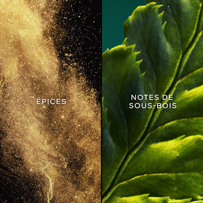 Guerlain Vol de Nuit Eau de Toilette Femme 75 ml