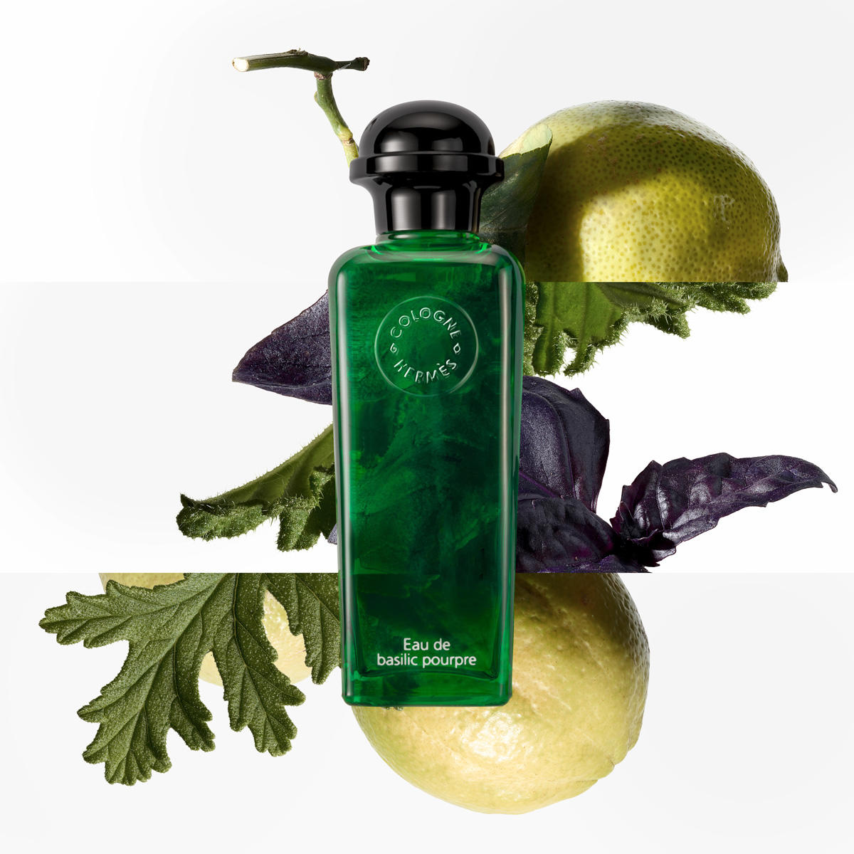 Hermès Eau de Basilic Pourpre Eau de Cologne Unisexe 200 ml