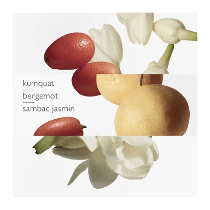 Hermes Le Jardin de Monsieur Li Eau de Toilette Unisexe 50 ml