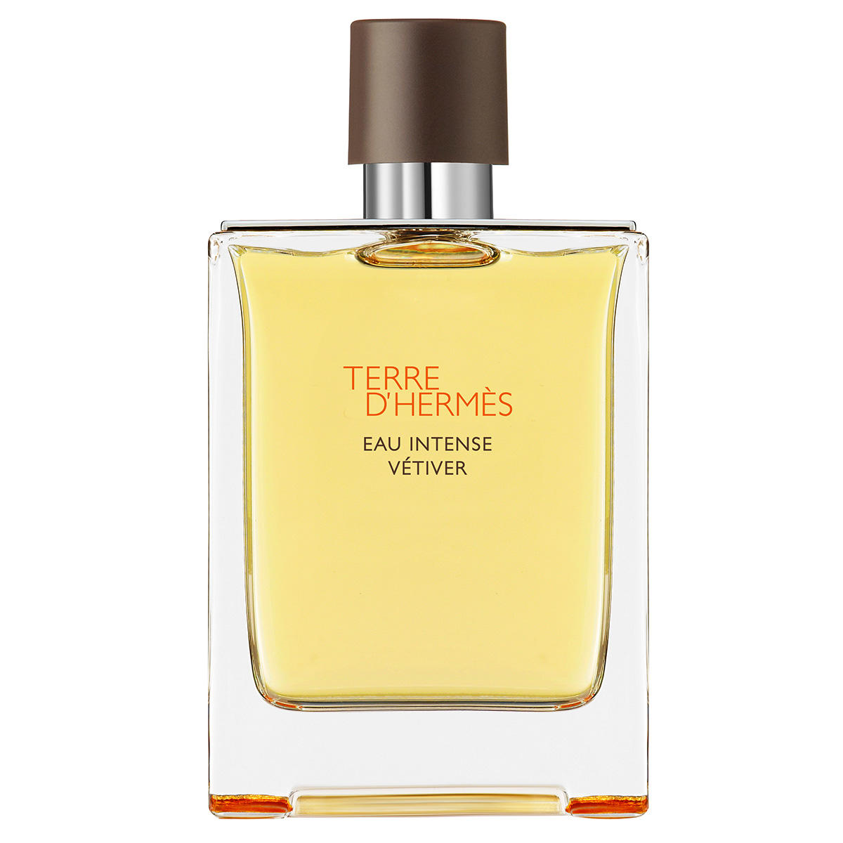 Hermes Terre D'Hermes Eau Intense Vetiver Eau de Parfum Homme 200 ml
