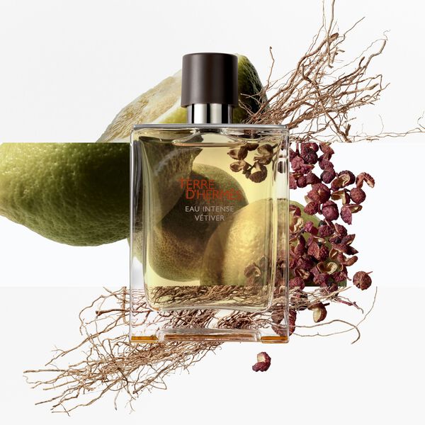 Hermès Terre d’Hermès Eau Intense Vétiver Eau de Parfum Homme 50 ml
