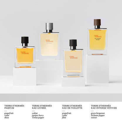 Hermes Terre D'Hermes Eau de Toilette Homme 100 ml