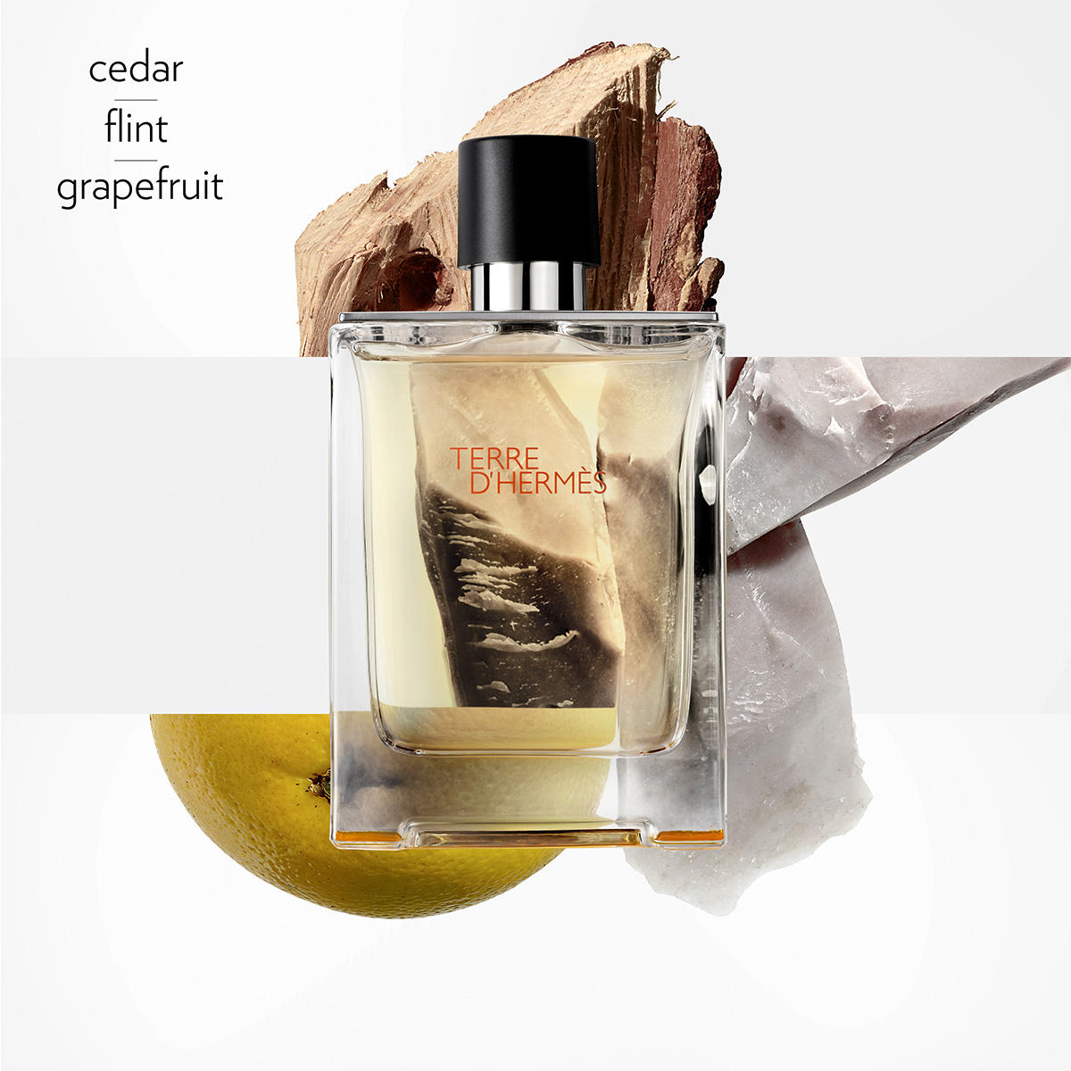 Hermes Terre D'Hermes Eau de Toilette Homme 100 ml