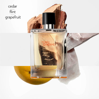 Hermes Terre D'Hermes Eau de Toilette Homme 100 ml