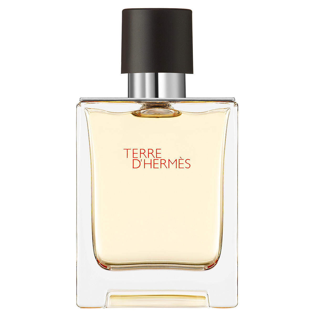 Hermes Terre D'Hermes Eau de Toilette Homme 100 ml