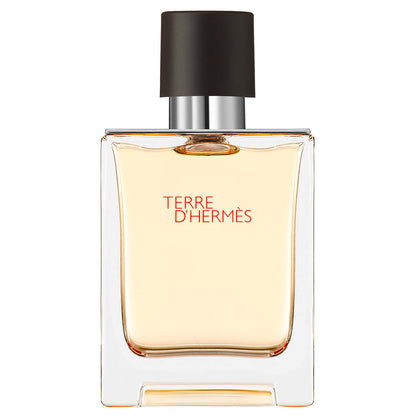 Hermes Terre D'Hermes Eau de Toilette Homme 100 ml
