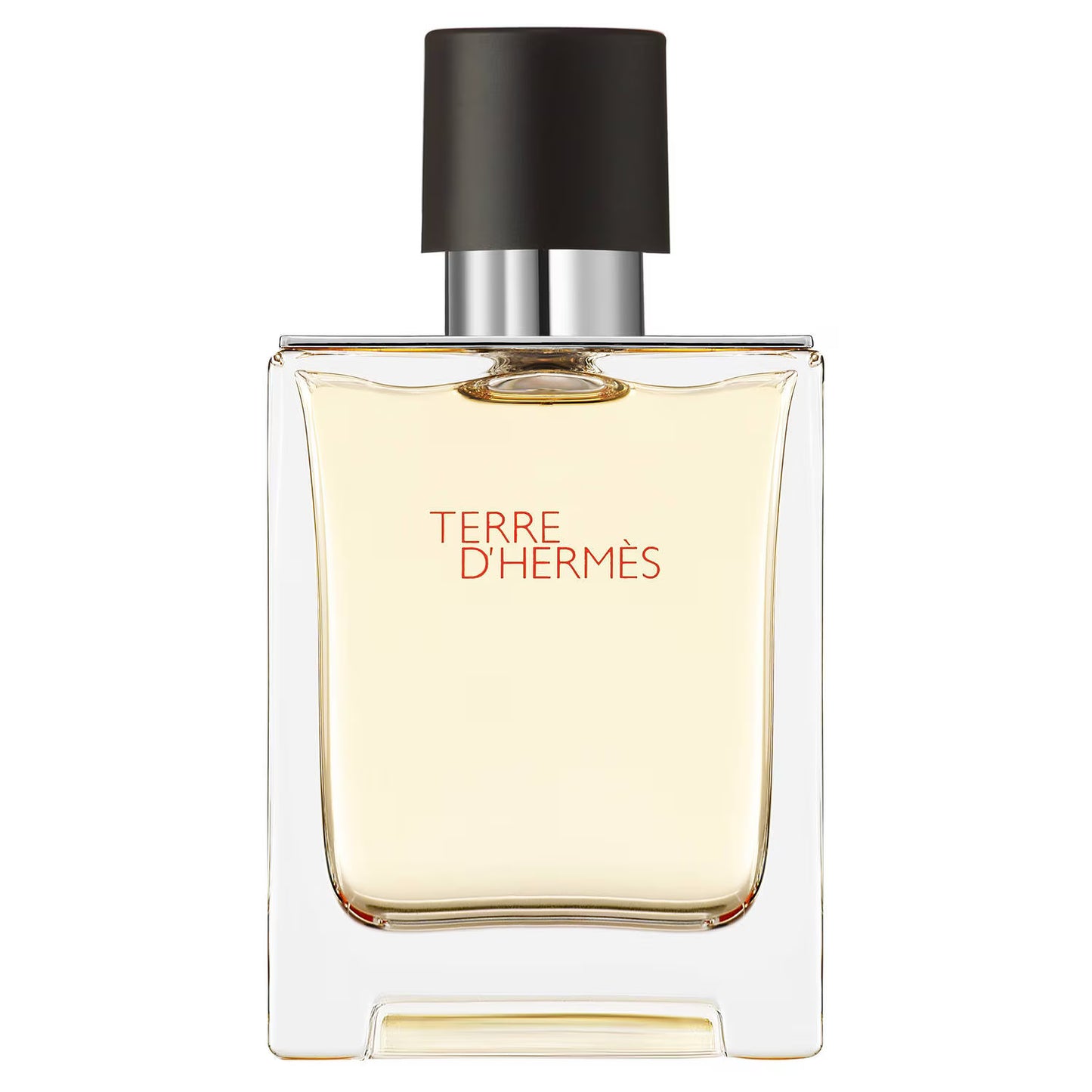 Hermès Terre D'Hermès Eau de Toilette Testeur 100 ml Homme