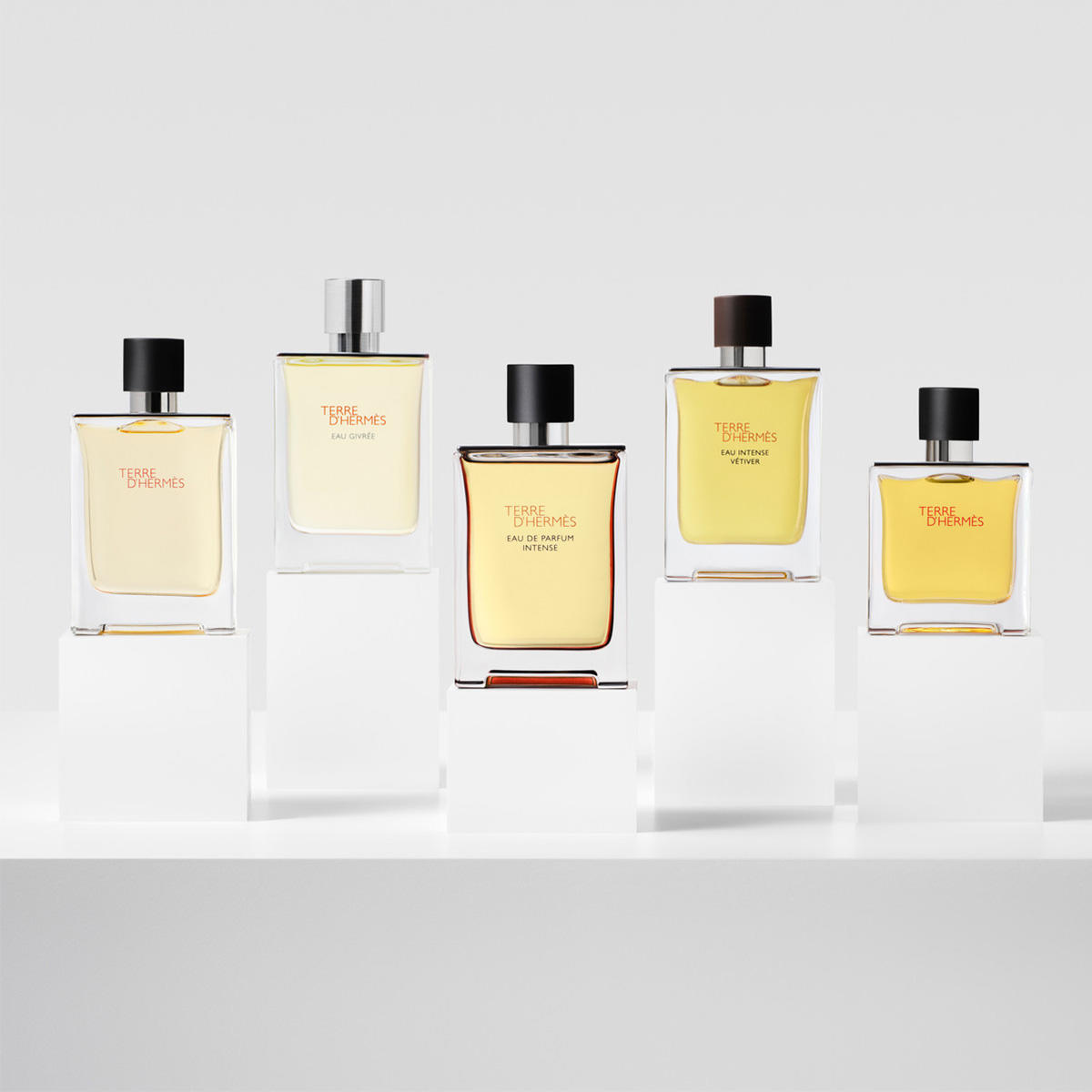 Hermès Terre d'Hermès Intense Eau de Parfum Homme 50 ml