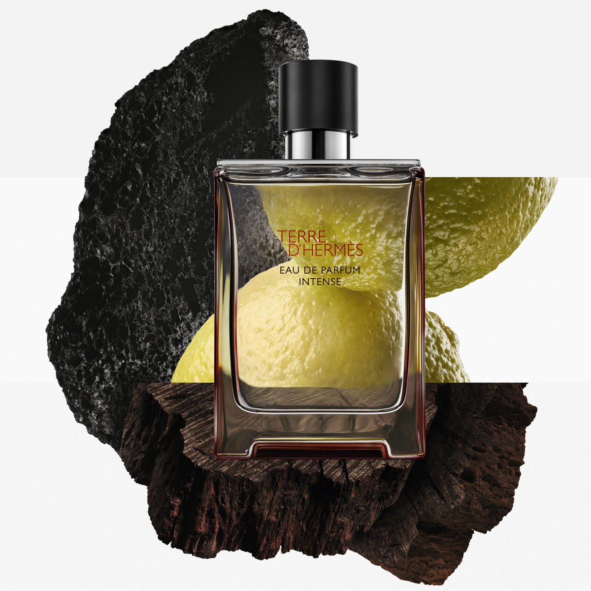 Hermès Terre d'Hermès Intense Eau de Parfum Homme 50 ml