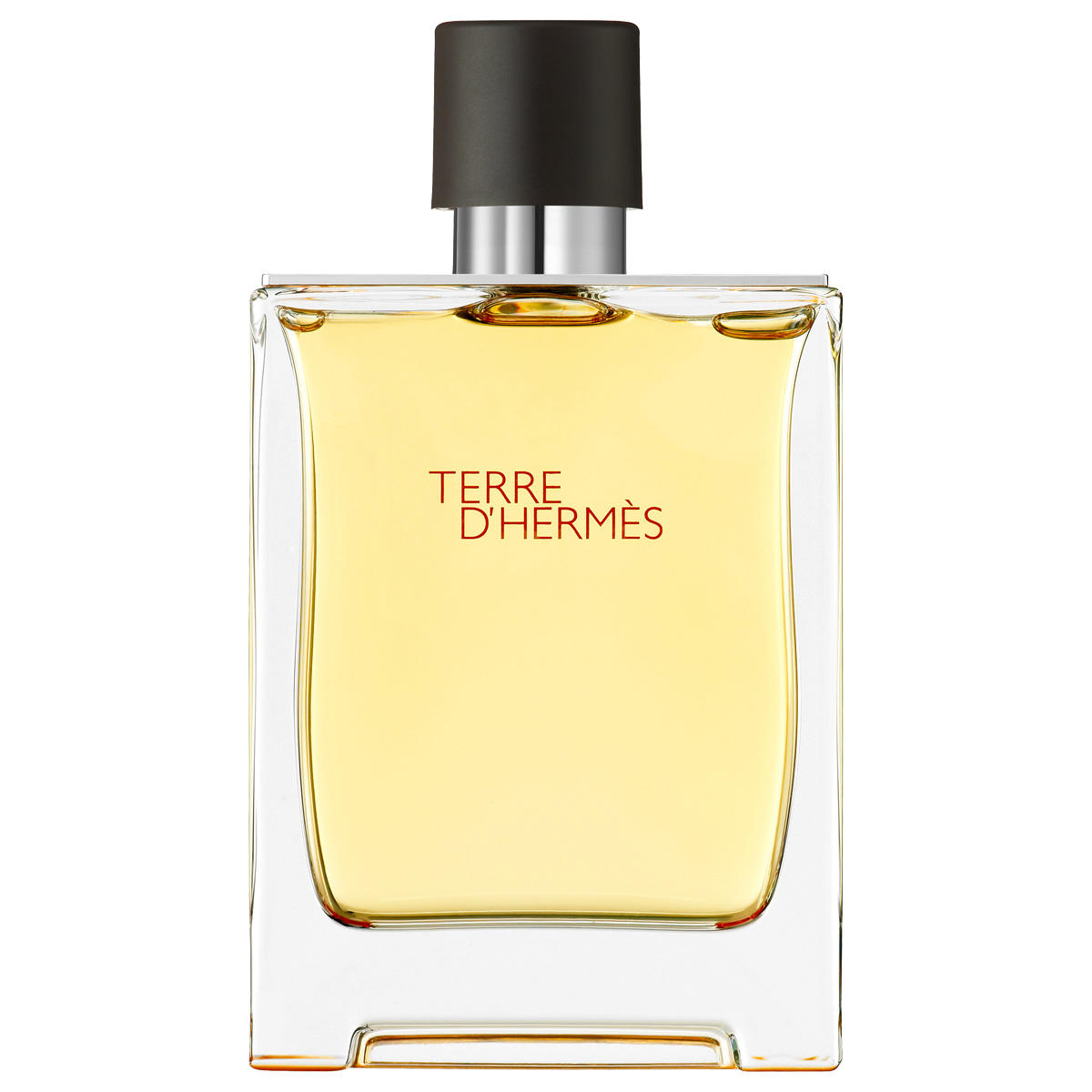 Hermes Terre D'Hermes Parfum Homme 200 ml