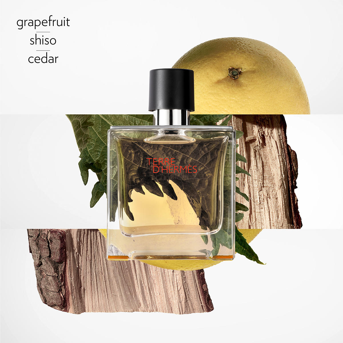Hermès Terre D'Hermes Parfum Homme 75 ml