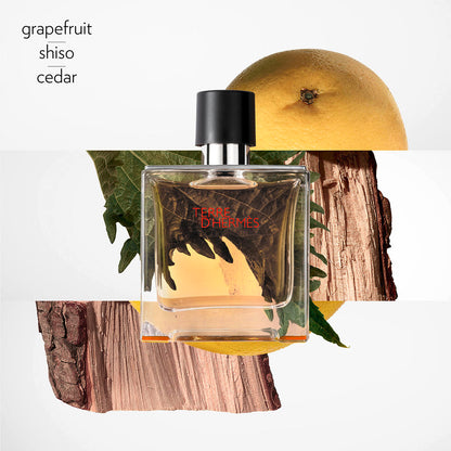 Hermès Terre D'Hermes Parfum Homme 75 ml