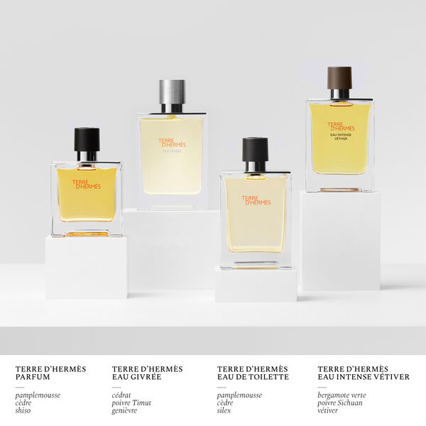 Hermès Terre d’Hermès Eau Givrée Eau de Parfum Rechargeable 175 ml Homme