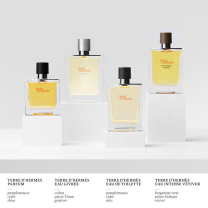 Hermès Terre d’Hermès Eau Givrée Eau de Parfum Rechargeable 175 ml Homme