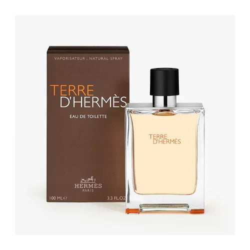 Hermès Terre d'Hermès Eau de Toilette Homme 100 ml