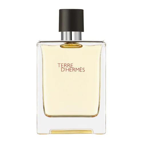 Hermès Terre d'Hermès Eau de Toilette Homme 100 ml