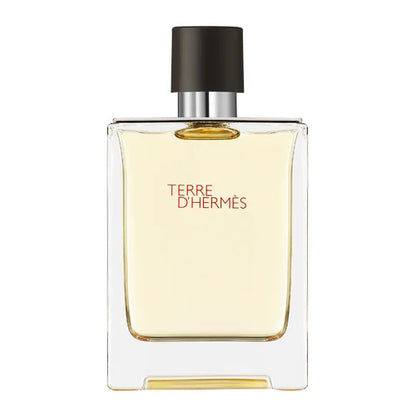 Hermès Terre d'Hermès Eau de Toilette Homme 100 ml