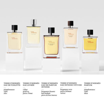 Hermès Terre d'Hermes Eau de Toilette Homme 50 ml