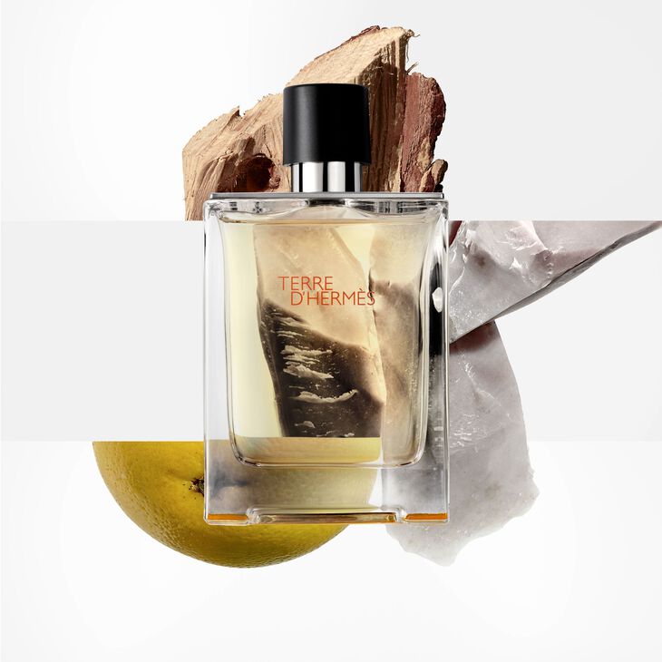 Hermès Terre d'Hermes Eau de Toilette Homme 50 ml