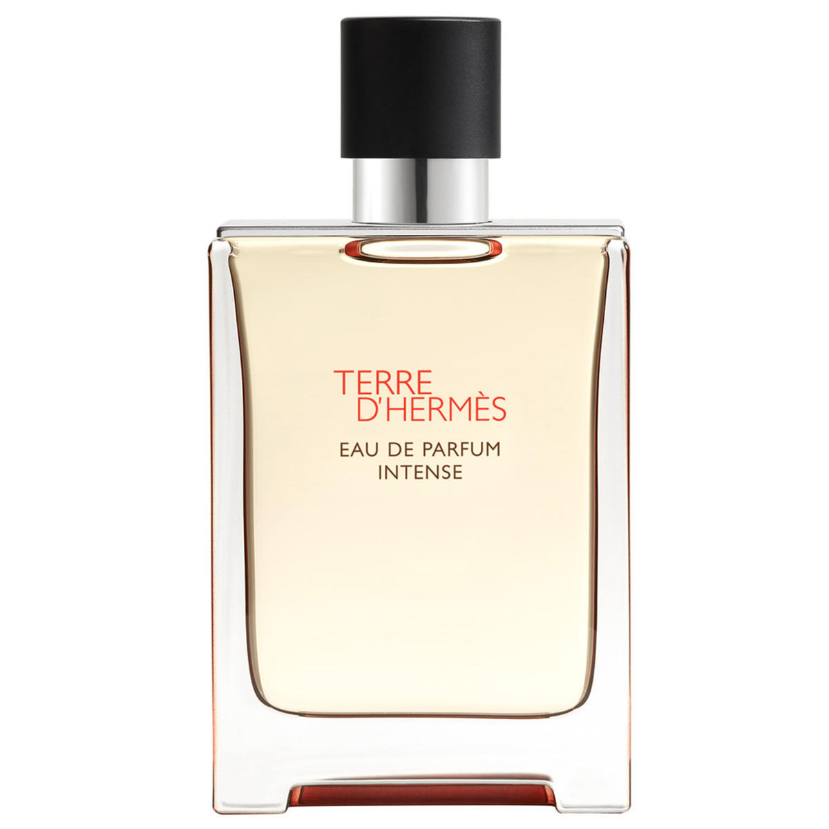 Hermès Terre d’Hermès Intense Eau De Parfum Intense Rechargeable 100 ml Homme