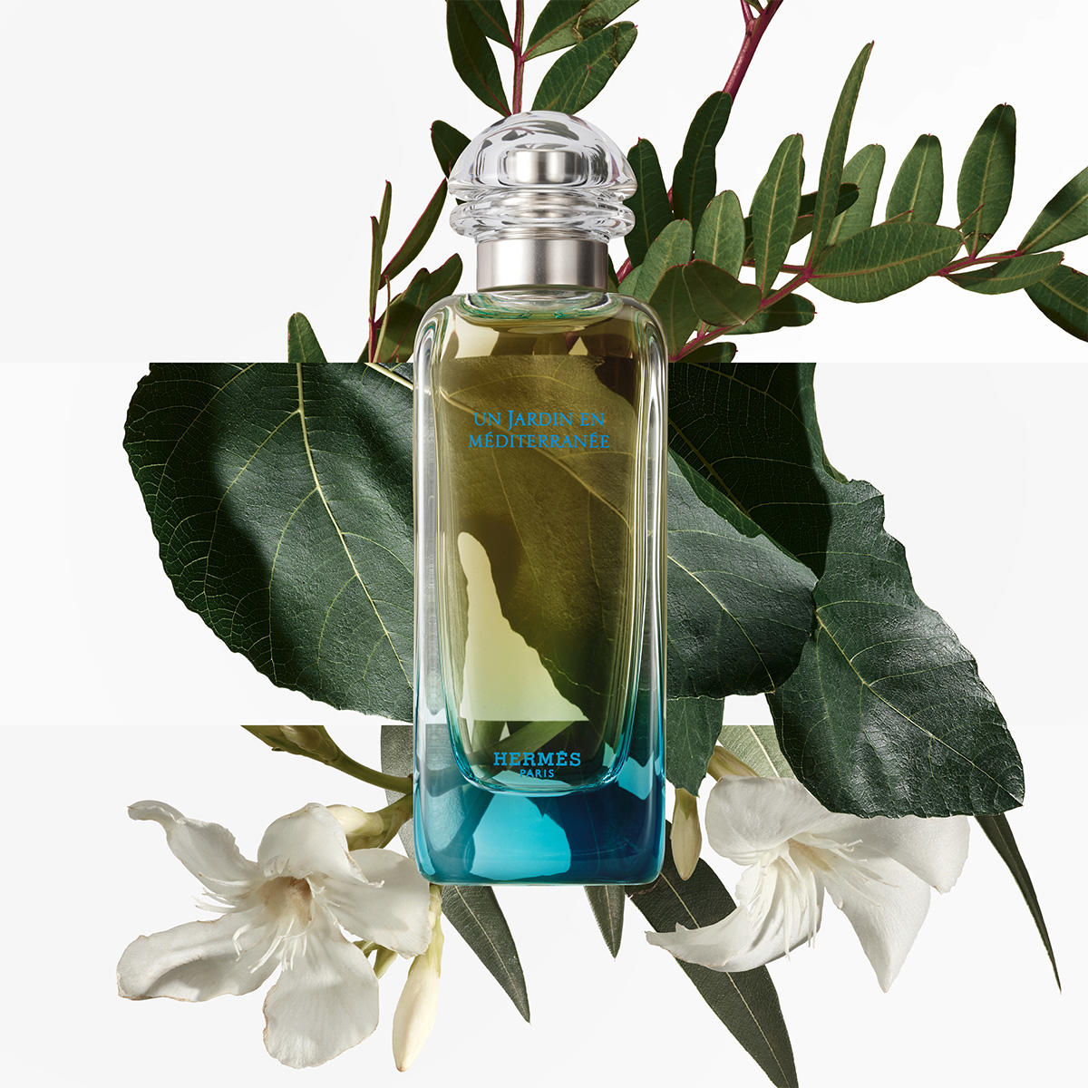 Hermès Un Jardin en Méditerranée Eau de Toilette Unisexe 50 ml : Le Jardin Secret Méditerranéen signé Hermès