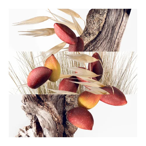 Hermès Un Jardin à Cythère Eau de Toilette 200 ml Recharge