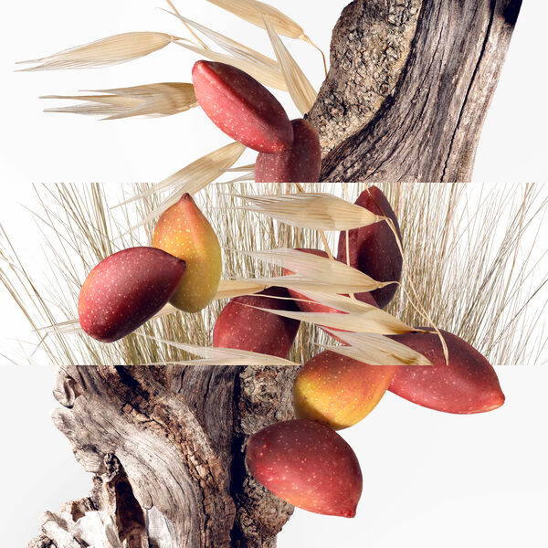 Hermès Un Jardin à Cythère Eau de Toilette Unisexe 50 ml : Le Jardin Solaire et Méditerranéen signé Hermès