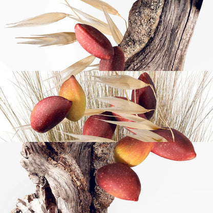 Hermès Un Jardin à Cythère Eau de Toilette Unisexe 50 ml : Le Jardin Solaire et Méditerranéen signé Hermès
