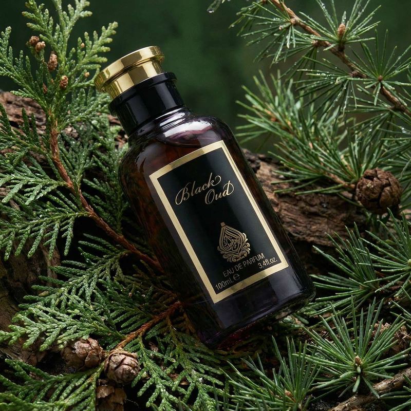 House of Perfumes Black Oud Eau de Parfum 100 ml Unisexe