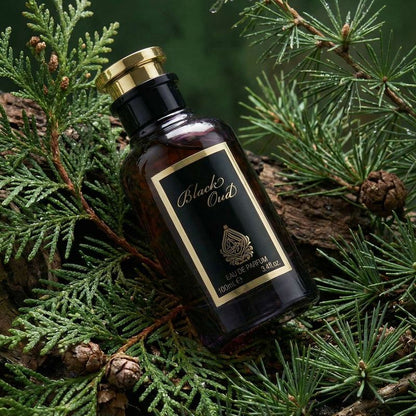 House of Perfumes Black Oud Eau de Parfum 100 ml Unisexe