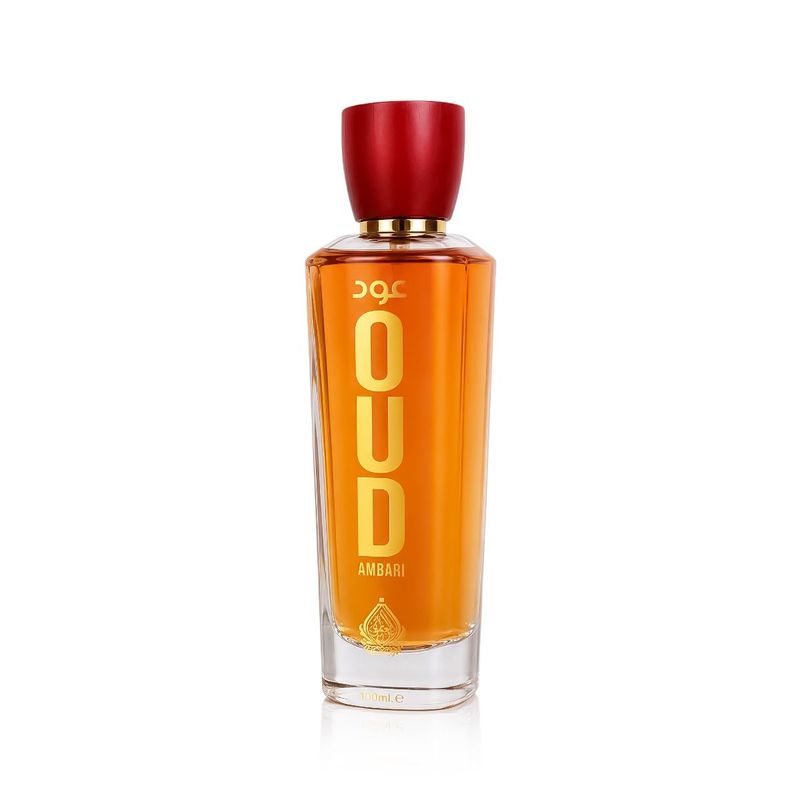 House of Perfumes Oud Ambari Eau de Parfum 100 ml Unisexe