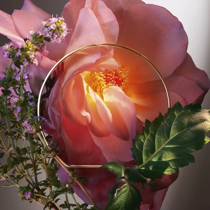 Lancôme Absolue Hot As Rose Eau de Parfum Femme 100 ml