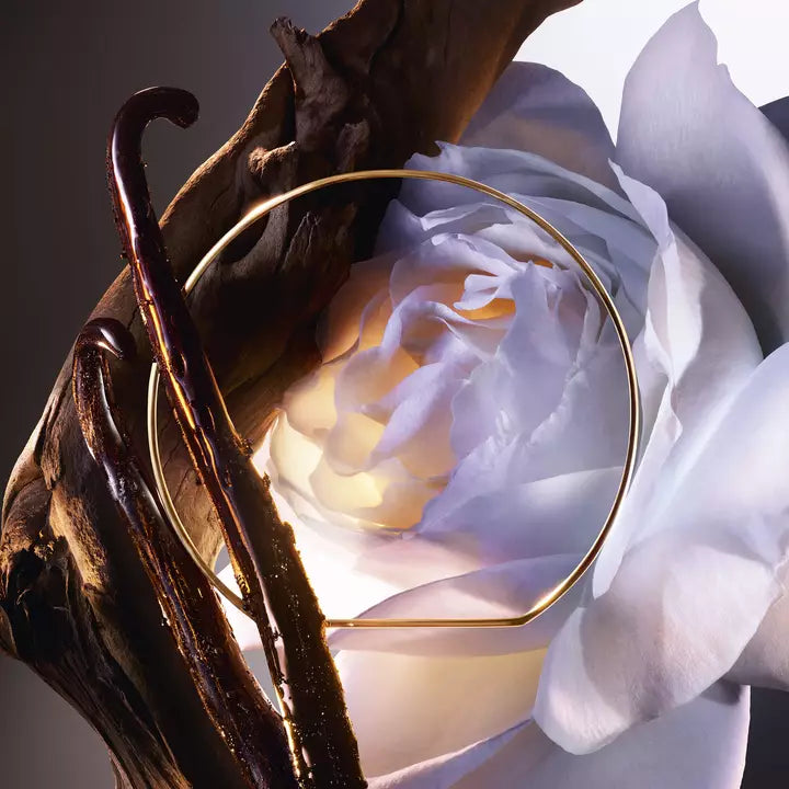 Lancôme Absolue Rose On The Moon Eau de Parfum Femme 100 ml