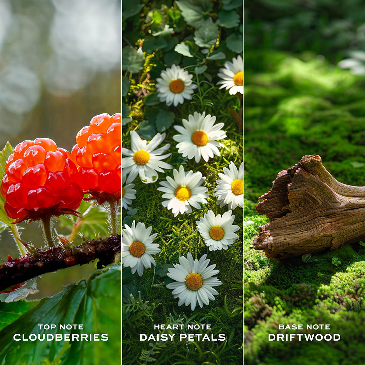 Marc Jacobs Daisy Love Eau de Toilette Femme 100 ml