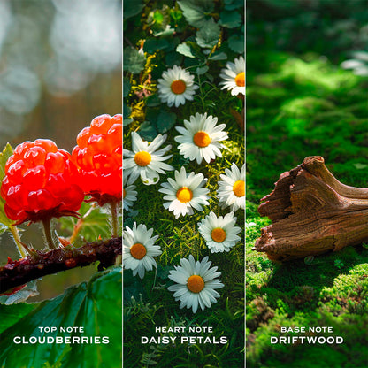 Marc Jacobs Daisy Love Eau de Toilette Femme 100 ml