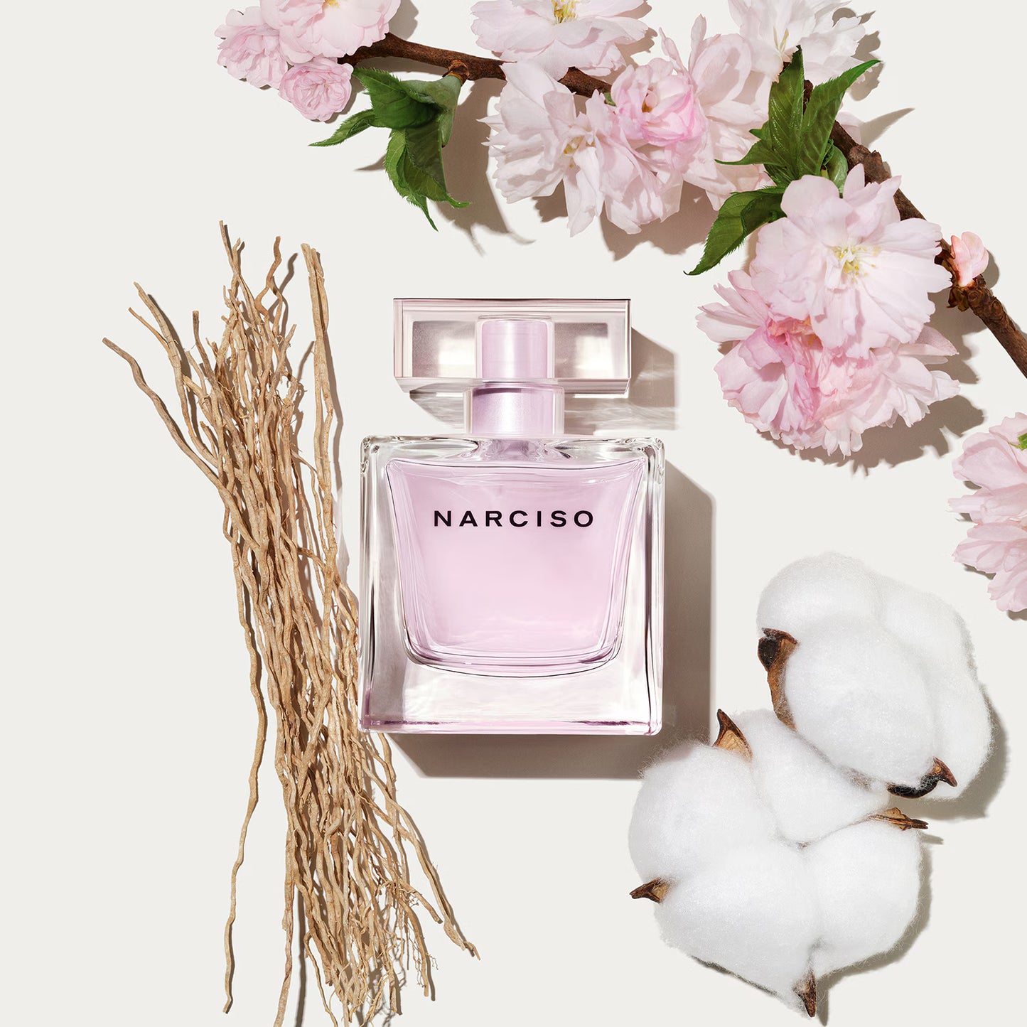 Narciso Rodriguez Narciso Radiante Eau de Parfum Femme 30 ml : Parfum Floral Musqué Lumineux