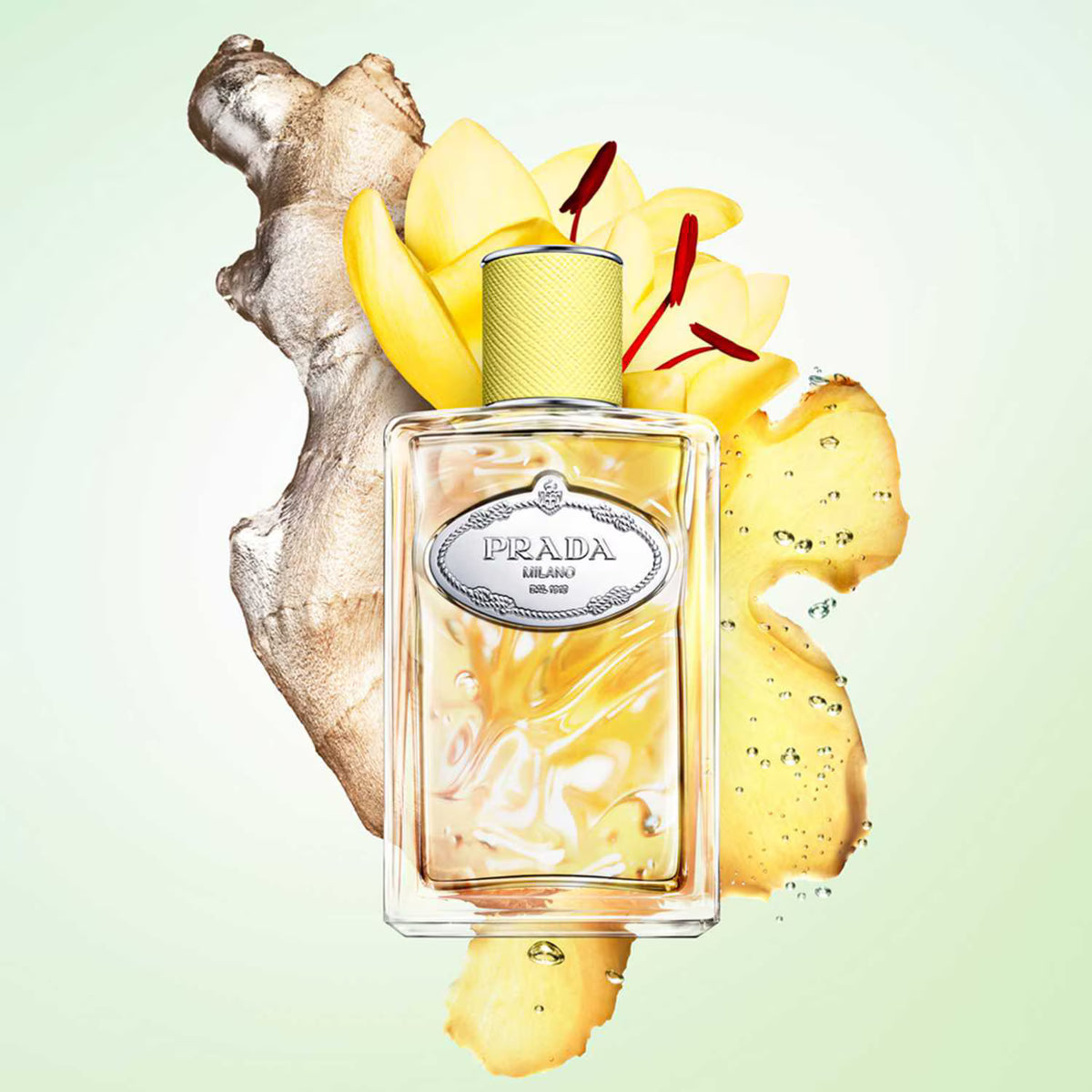 Prada Infusion De Gingembre Eau de parfum Unisexe 100 ml