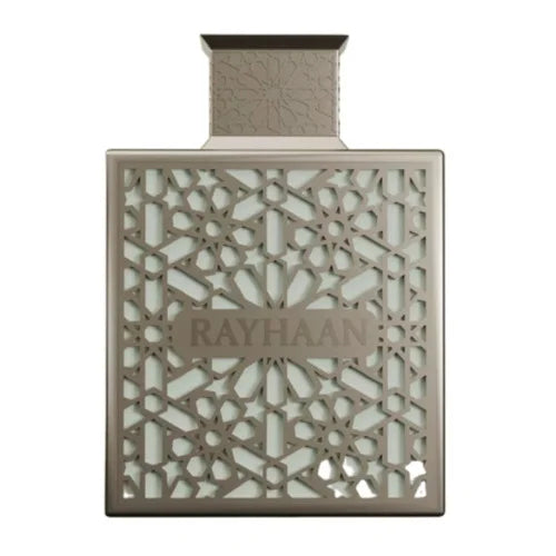 Rayhaan Terra Eau de Parfum 100 ml Homme
