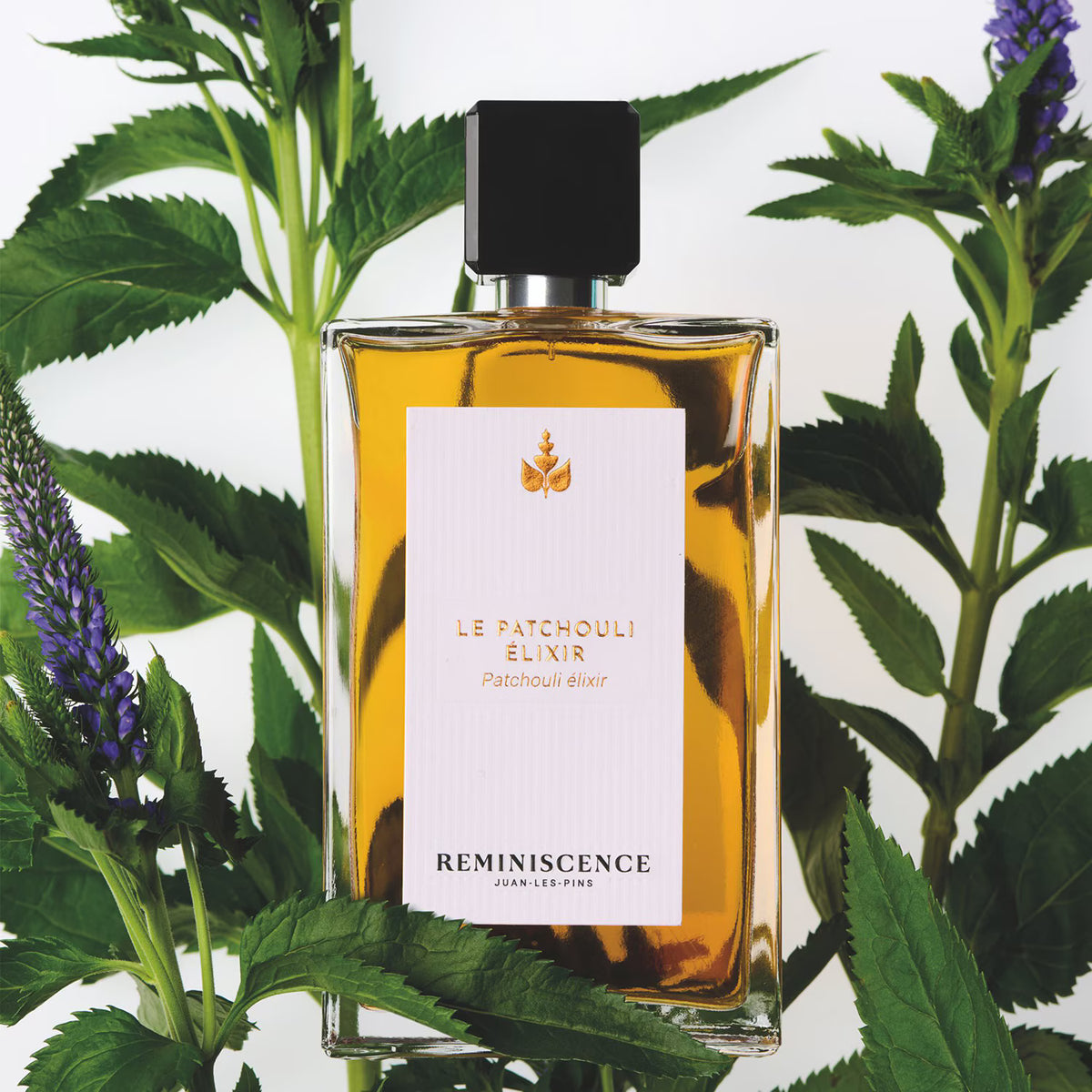 Reminiscence Le Patchouli Elixir Eau de Parfum Unisexe 50 ml