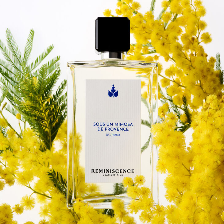 Reminiscence Sous un Mimosa de Provence Eau de Toilette Intense Unisexe 100 ml