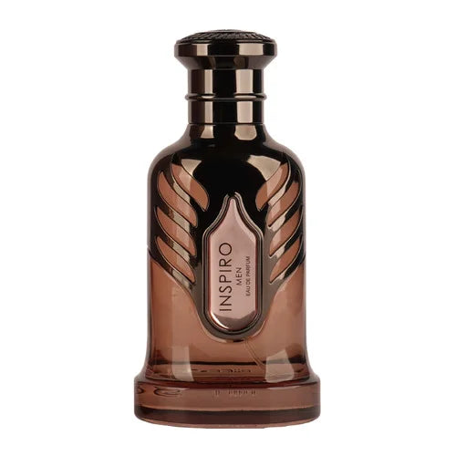 Riiffs Inspiro Men Eau De Parfum 100 ml Homme