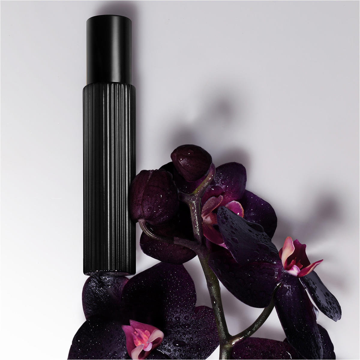 Tom Ford Black Orchid Eau De Parfum Miniature 10 ml Femme