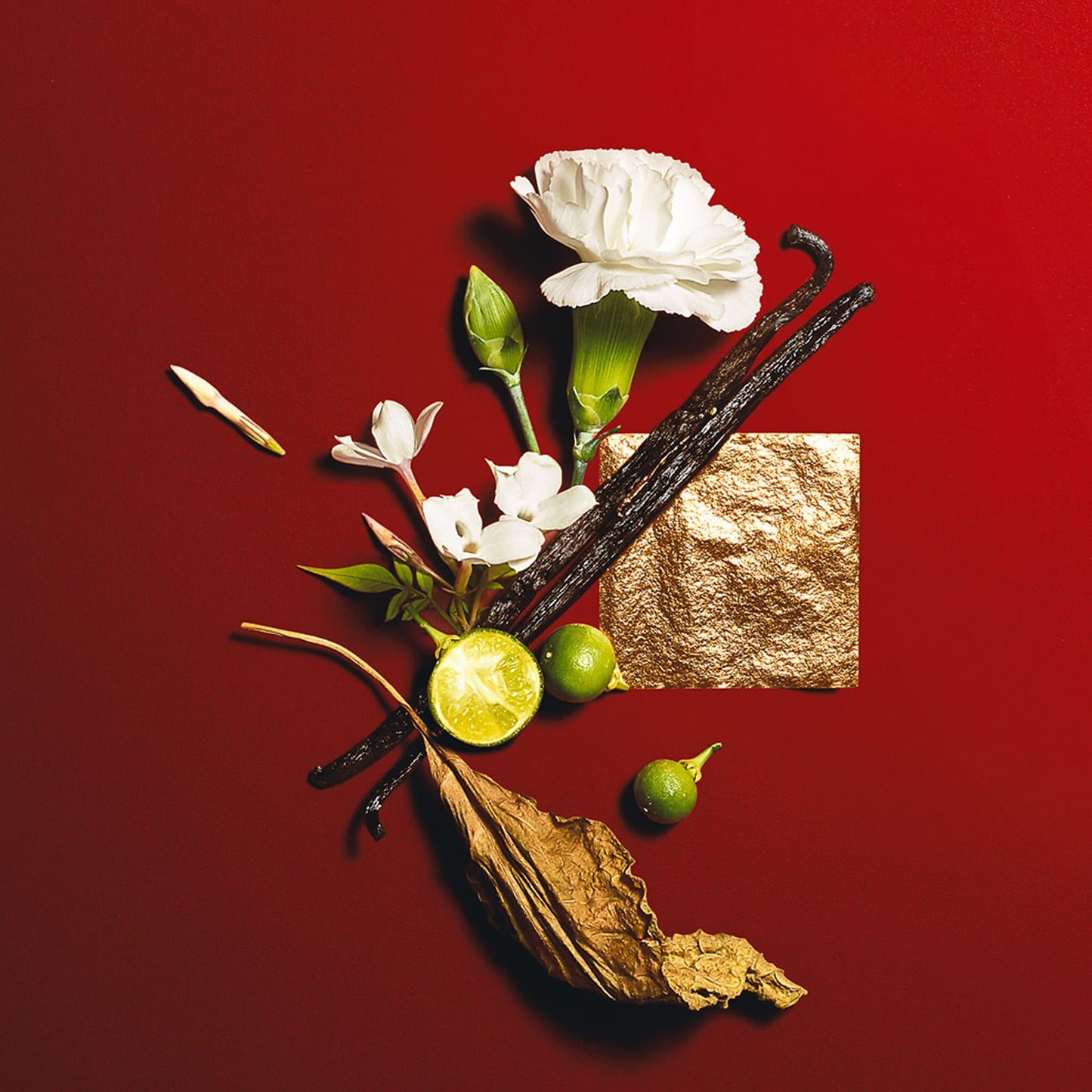 Yves Saint Laurent Opium 2009 Eau de Toilette Femme 30 ml