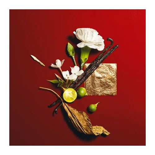 Yves Saint Laurent Opium 2009 Eau de Toilette Femme 50 ml