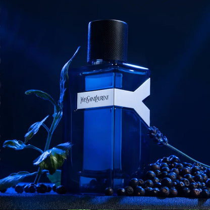 Yves Saint Laurent Y Intense Eau de Parfum Homme 60 ml