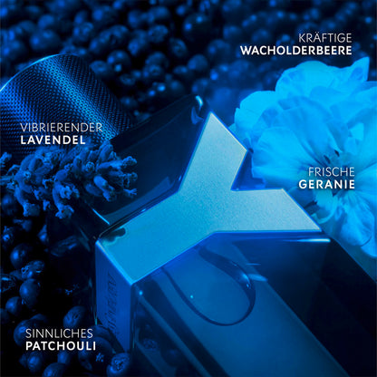 Yves Saint Laurent Y Intense Eau de Parfum Homme 100 ml