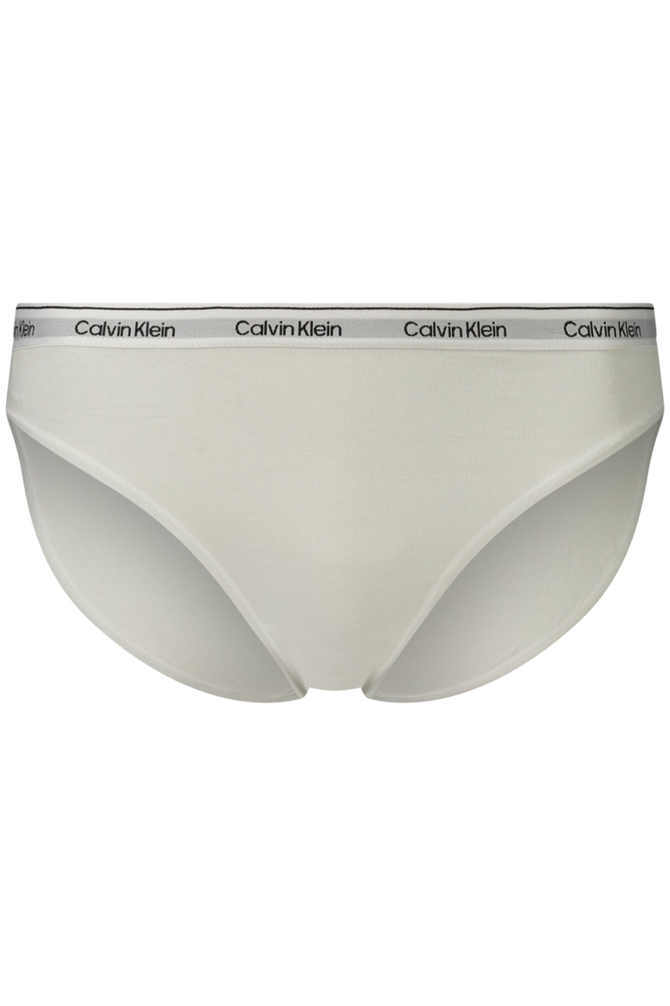 CALVIN KLEIN WOMEN'S LIGHT BLUE BRIEFS